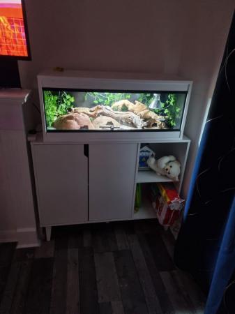 Image 9 of 2 x leopard geckos and full set up