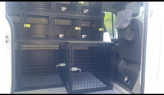 Image 3 of Profesional cages for pet transport