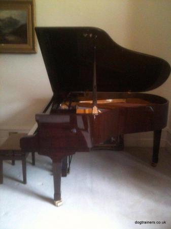 Image 2 of Piano Petrof Baby Grand Piano. 583902