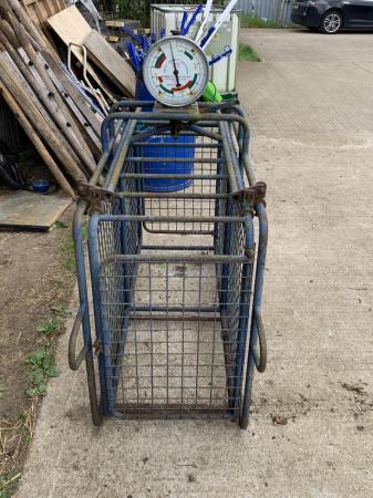 Image 2 of Livestock weigh scales for sale.
