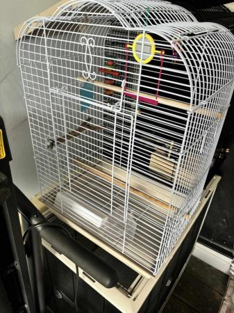 Image 4 of Medium Bird cages for sale