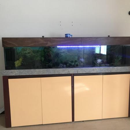 Image 1 of Large Fish Tank and Equipment