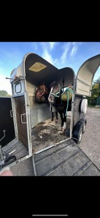 Image 1 of Richardson supreme rosette horse trailer