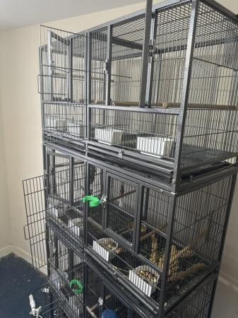 Image 4 of Yaheetech Pack of 3 Stackable Wide Bird Cage Divided Breeder