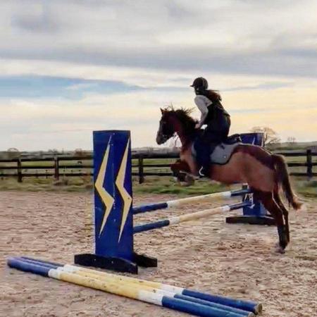 Image 1 of 13.2hh pony for part loan/share