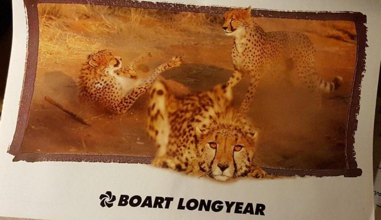 Image 2 of Six vintage African wild life calendars