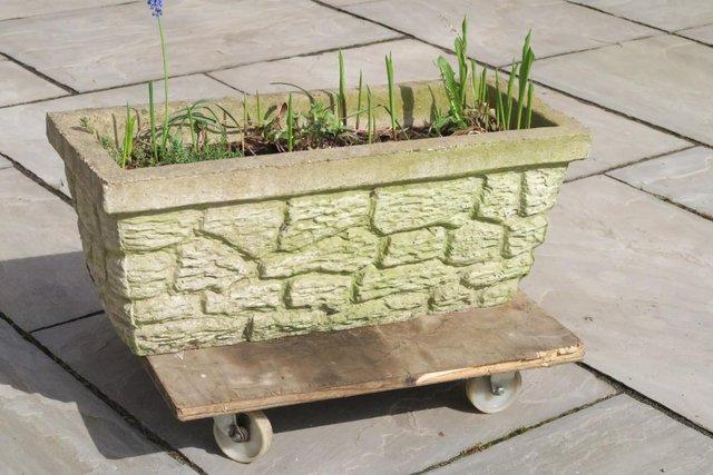 Preview of the first image of Garden Concrete Planter for outdoor.