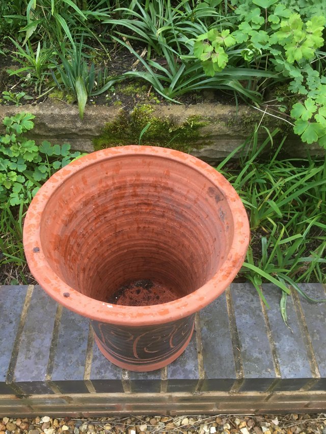 Preview of the first image of A tall and attractively shaped terracotta plant pot..
