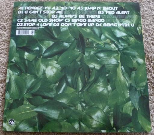 Image 3 of Basement Jaxx, Remedy, double vinyl LP