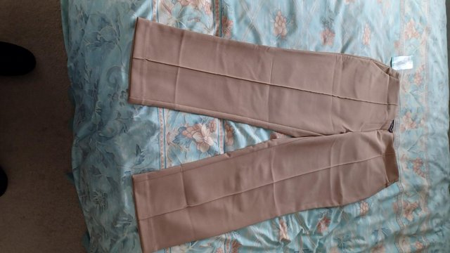 Preview of the first image of Hilary Radley Thick Camel Dress Trousers size 16 with labels.