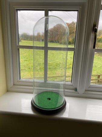 Image 1 of Glass dome and base suitable for taxidermy or clock