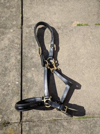 Image 2 of BLACK FULL ENGLISH LEATHER AND PATENT HEAD COLLAR