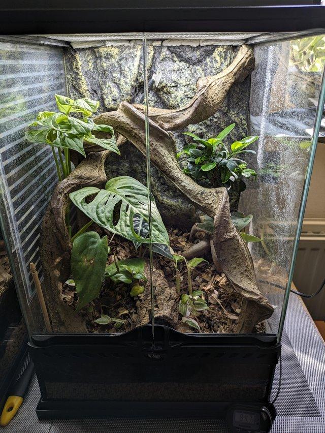 Preview of the first image of Eco terra 30x30x45 bio active terrarium.
