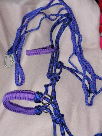 Image 2 of Bitless rope bridle and matching reins