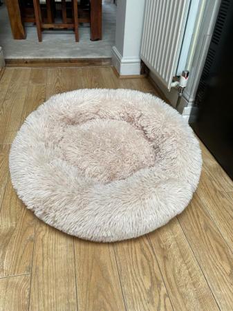 Image 5 of Small/medium dog bed for sale.