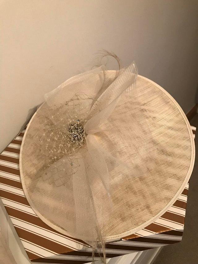 Preview of the first image of Mother of the Bride/Groom Hatinator.