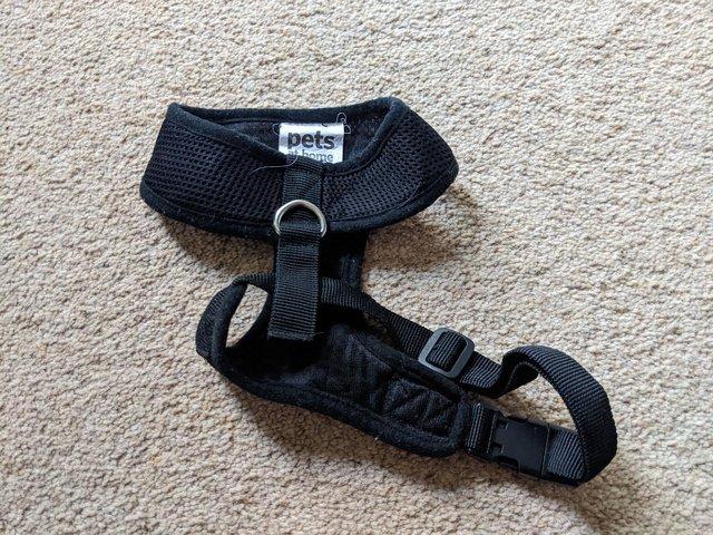 Preview of the first image of Harness for puppies or small dog 'Pets at Home'.
