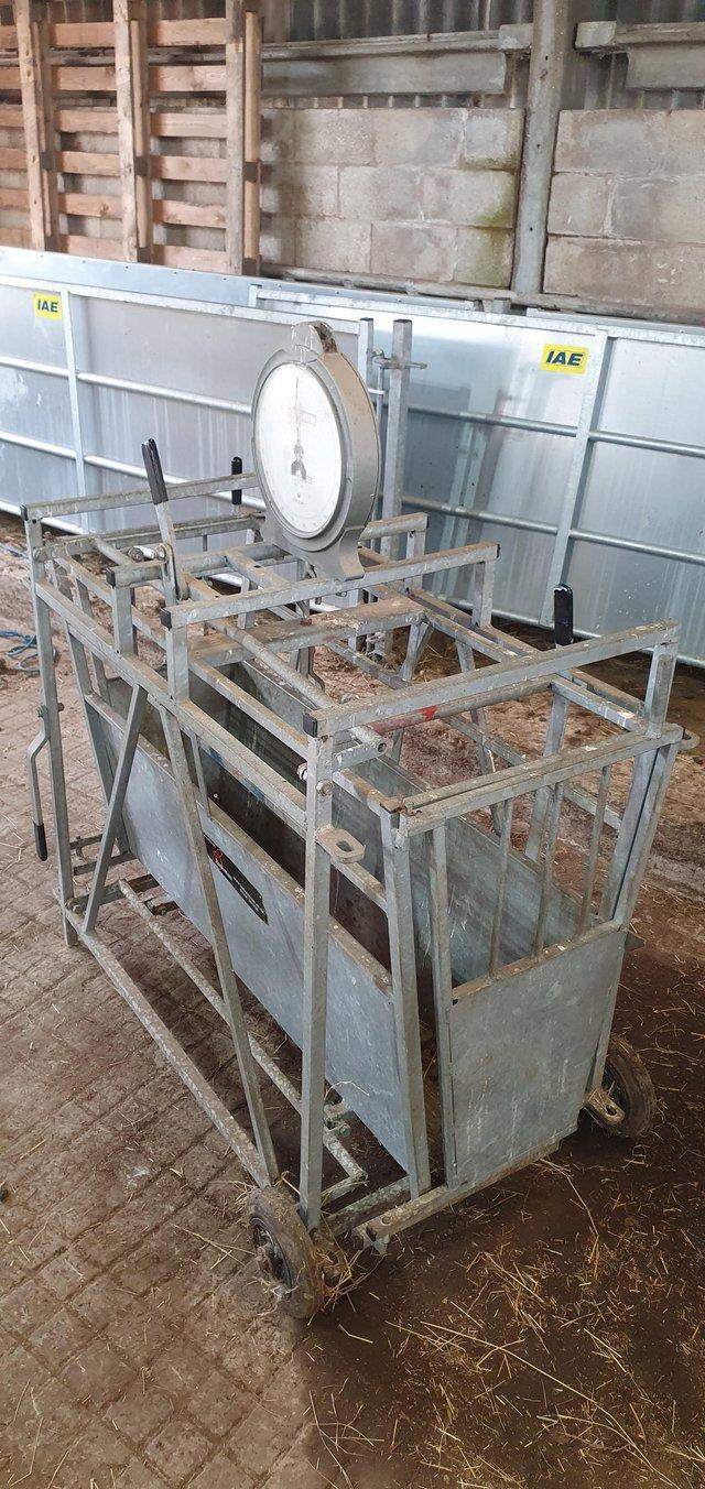 Preview of the first image of Bateman Sheep Lamb Weighing Scales No Vat.