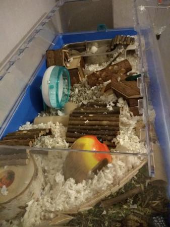Image 1 of Hamster cage- Zoozone 2