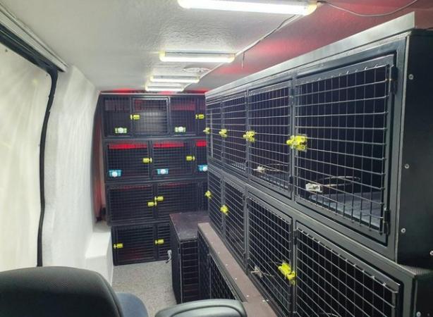 Image 1 of Profesional cages for pet transport