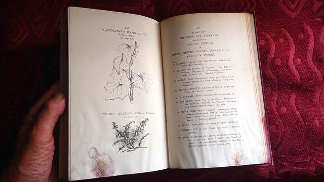 Image 10 of Psychology Of Botany, Minerals And Precious Stones - Charube