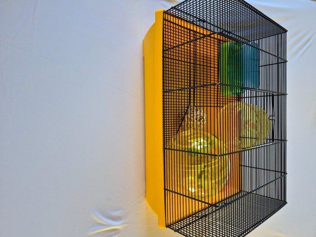 Hamster/Mouse Cage and Accessories — photo 2 of 4