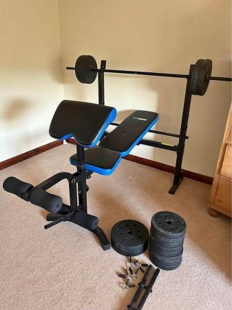 Image 1 of Pro Fitness Folding Workout Bench