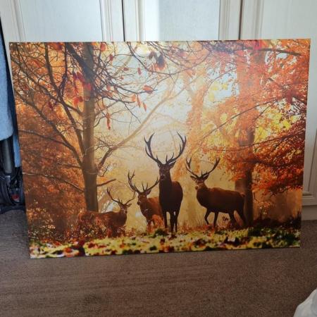 Image 1 of Wall art of Deer in forest