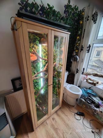 Image 1 of Arboreal Vivarium with everything included