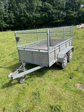 Image 2 of Solid Twin wheeled galvanised meshed trailer