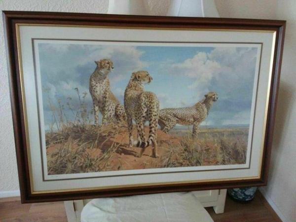 Image 1 of LARGE COLLECTION OF SIGNED LIMITED EDITION FRAMED PRINTS