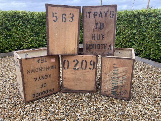 Preview of the first image of 5 vintage tea chests in excellent condition.