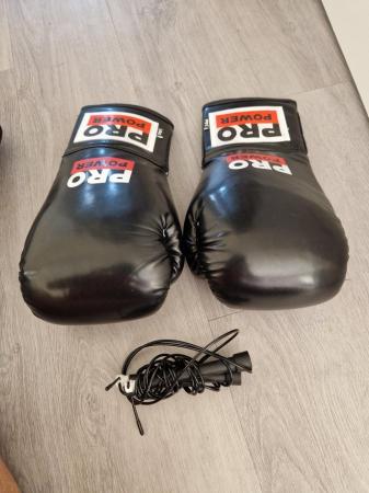 Image 3 of Boxing gloves and rope for sale