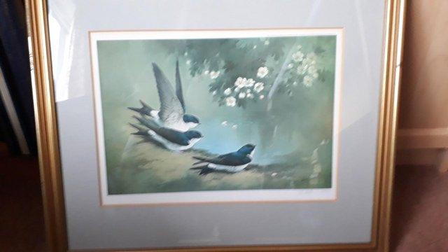 Preview of the first image of 2 LIMITED EDITION PRINTS OF BIRDS.