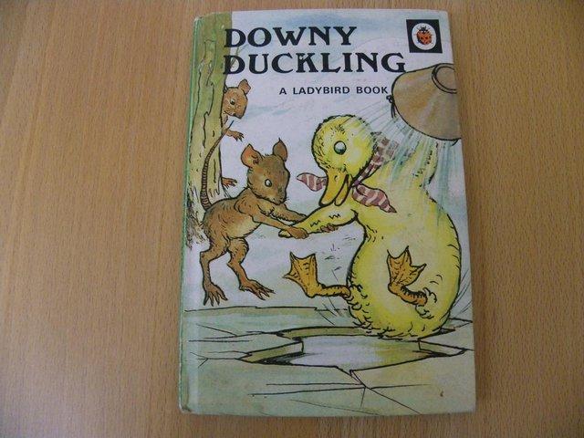 Preview of the first image of Downy duckling.