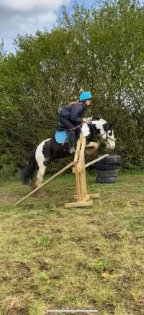 Image 5 of 12.3hh Fantastic First pony.