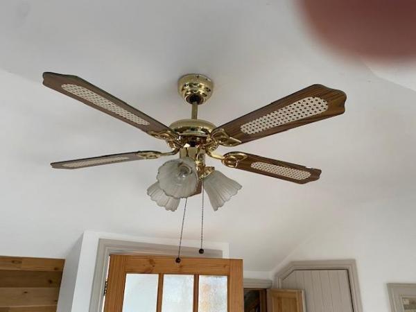 Image 2 of Brass ceiling fan/light fitting