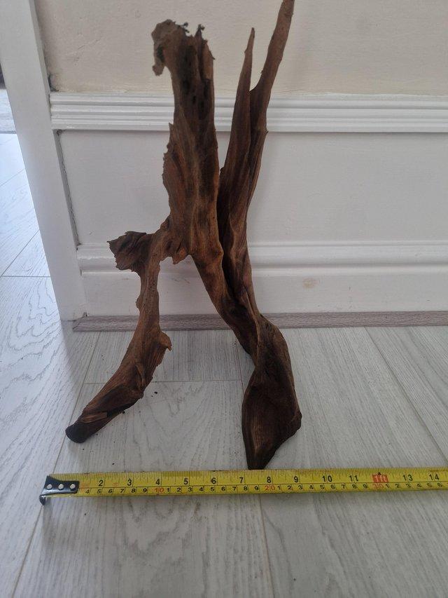 Preview of the first image of Nice piece of bogwood....
