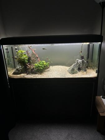 Image 3 of Fluval fish tank with everything in photos
