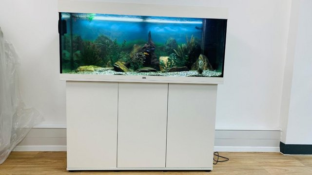 Preview of the first image of Juwel Fish tank and unit.