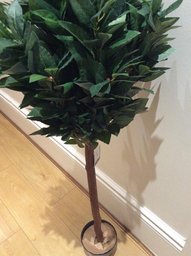 Preview of the first image of 2 artificial topiary  trees for wedding venues.