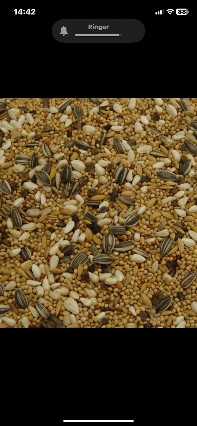 Preview of the first image of Parakeet/lovebirds mix seeds.