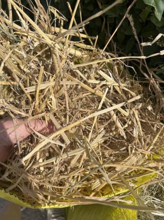 Image 5 of Small Animal Hay & Straw Bags