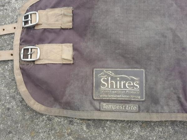 Image 6 of 4'0 shetland/ pony/ foal turnout rugs .shires tempest4ft 0