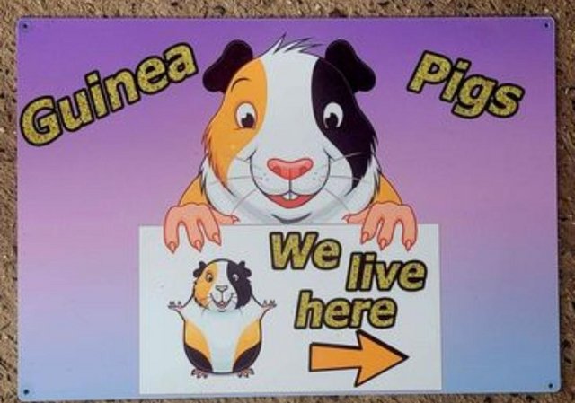 Preview of the first image of Unique one-off metal Guinea Pig gate/wall/fence sign.