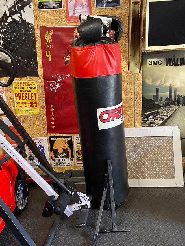 Preview of the first image of Carta Sports heavy duty punch bag with gloves.