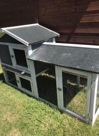 Image 4 of 2 year old Guinea pig boy with outdoor and indoor house