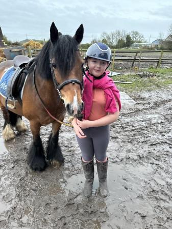 Image 1 of 11 yr old looking for part loan pony
