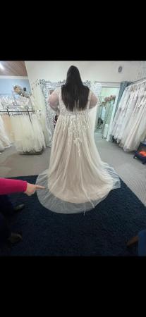 Image 1 of White Rose Plus Size Wedding Dress